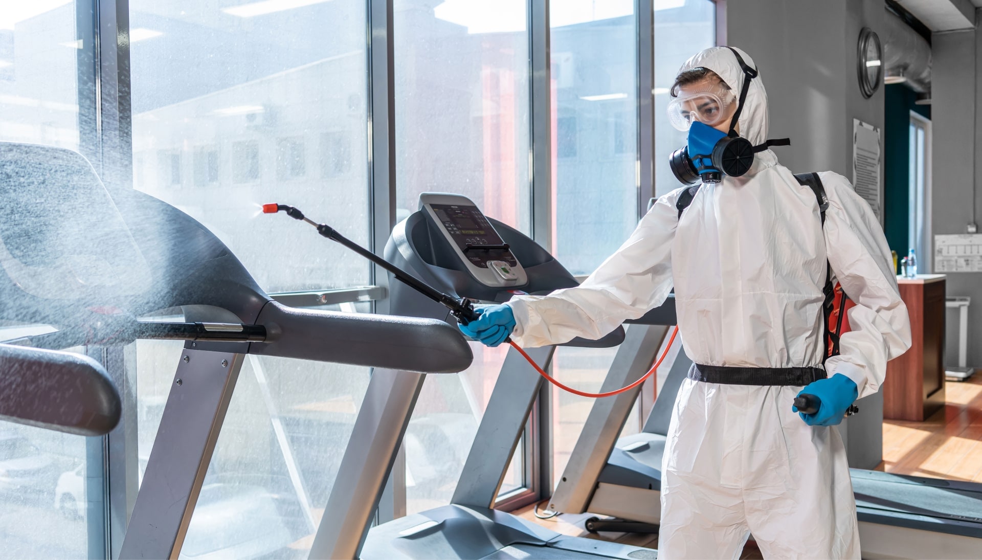 Commercial Mold Removal Services in Albuquerque