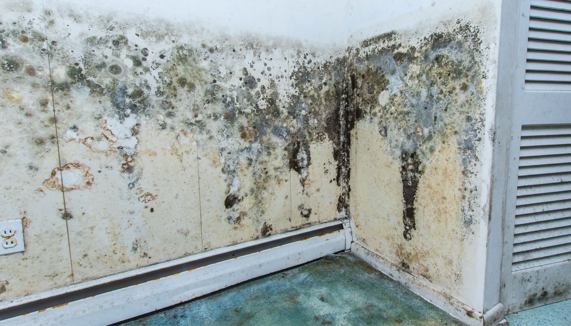 A mold remediation team using specialized techniques to remove mold damage and control odors in a Albuquerque property, with a focus on safety and efficiency